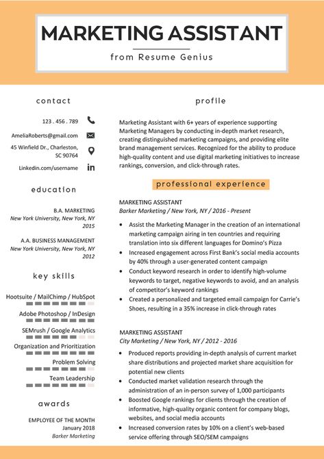 Marketing Cv Examples, Marketing Resume Examples, Genius Marketing, Job Affirmations, Perfect Resume Example, Teacher Cv, Marketing Assistant, Marketing Resume, Fordham University