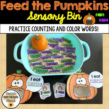 Pumpkin Activity, Fall Sensory Bin, Fall Sensory, Color Learning, November Ideas, Pumpkin Activities, Thanksgiving Preschool, Autumn Activities For Kids, Nursery School