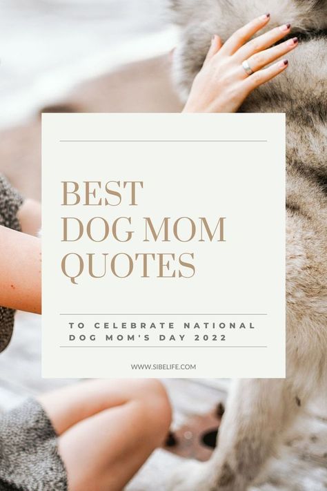 National Dog Mom's Day is such a special day for us dog moms! So, in honor of this upcoming National Dog Mom's Day, I put together 85 dog mom quotes to celebrate us! Share these heartwarming dog mom quotes with your dog mom friends or use them for your Instagram caption! #dogmomquotes #dogmomlife #dogquotes #dogmomsayings Dogs Are The Best Quotes, My Puppy Quotes, I Love My Dog Quotes Funny, Dog Mom Quotes Mothers Day, Dog Mommy Quotes, Dog Is My Best Friend Quote, Dog Is Better Than Human Quotes, Having A Dog Quotes, Dogs Life Quotes