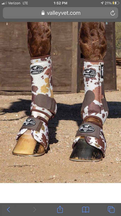 Aztec Horse Tack, Matching Tack Sets Western, Horse Bell Boots, Horse Matching Sets, Western Horse Boots, Cow Print Horse Tack, Horse Stuff Western, Horse Tack Ideas, Tack Sets Western