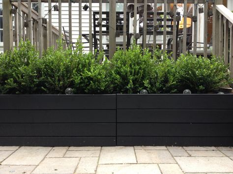 Beautiful Black wood planters with Boxwoods. Handy husband! : ) Black Metal Planter Boxes, Black Wooden Planters, Wall Planter Boxes Outdoor, Planters Against House, Black Planter Boxes, Landscaping Deck, Long Planter Boxes, Large Wooden Planters, Modern Planters Outdoor