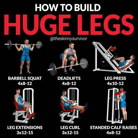 Leg Exercises With Weights, Full Leg Workout, Leg Exercise, Gym Images, Barbell Squat, Leg Training, Leg Day Workouts, Leg Curl, Home Exercise Routines