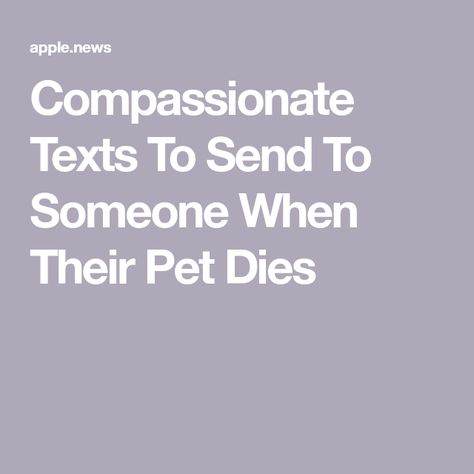 Compassionate Texts To Send To Someone When Their Pet Dies Texts From Dog, What To Say When A Pet Dies, Advice From A Cat, Wholesome Cat Message, When Your Cat Dies Quotes, Cat Died Quote, Dog Died, What To Say, Dog Behavior