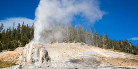 Old Faithful and other geysers to hike and explore!! Wyoming Trip, Old Faithful Yellowstone, Visit Yellowstone, Day Hiking, Hiking Trips, Yellowstone Park, Hiking Guide, Old Faithful, National Parks Trip