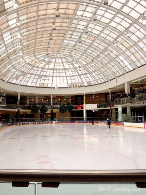 Skating Rink Interior Design, I’ve Skating, Skating Place, Indoor Ice Skating Rink, Wip Aesthetic, West Edmonton Mall, Outdoor Rink, Prefab Buildings, Santa Helena