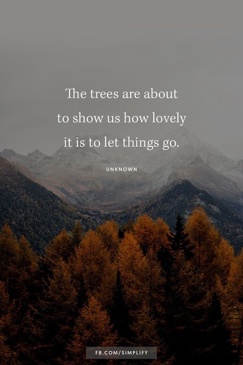 Letting Go Quotes, Vibe Quote, Happy October, Garden Quotes, Autumn Quotes, Fall Feels, Fall Is Here, Nature Quotes, Show Us