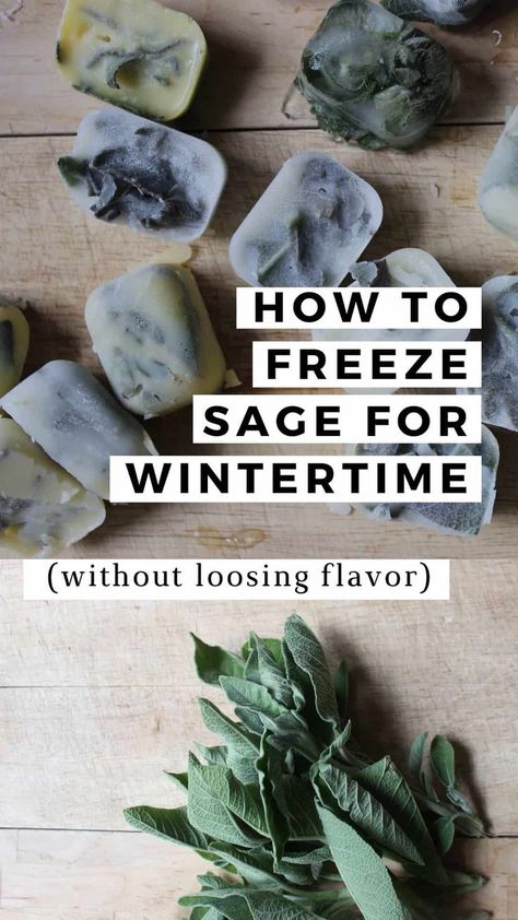 Ice cubes of sage and water on a wooden cutting board. Freezing Fresh Herbs, Dry Sage, Sage Recipes, Freezing Vegetables, Basil Herb, Sage Herb, Freezing Herbs, Preserving Herbs, Sage Butter