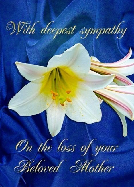 Bereavement Quotes, Happy Teddy Day Images, Teddy Day Images, Condolences Quotes, Blue Lilies, Lilies White, Happy Birthday For Her, Words Of Sympathy, When You Feel Lost