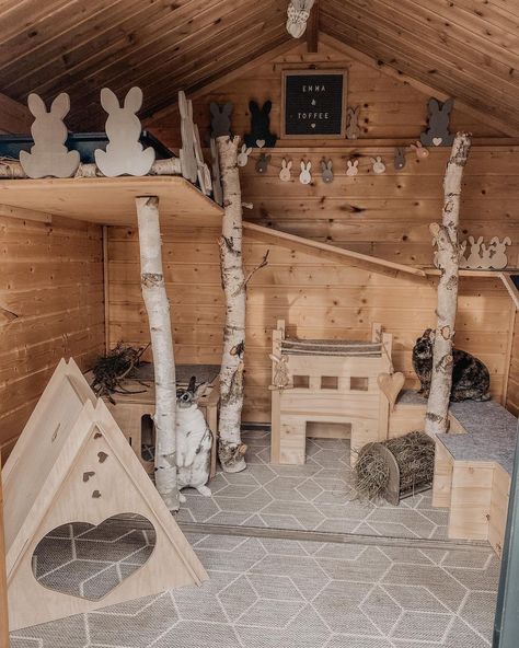 Diy Bunny Playground, Bunny Incloser, Bunny Houses Outdoor, Bunny Room Ideas Rabbit, Bunny Shed Ideas, Rabbit House Diy, Diy Rabbit House, Rabbit Shed Ideas, Bunny House Outdoor