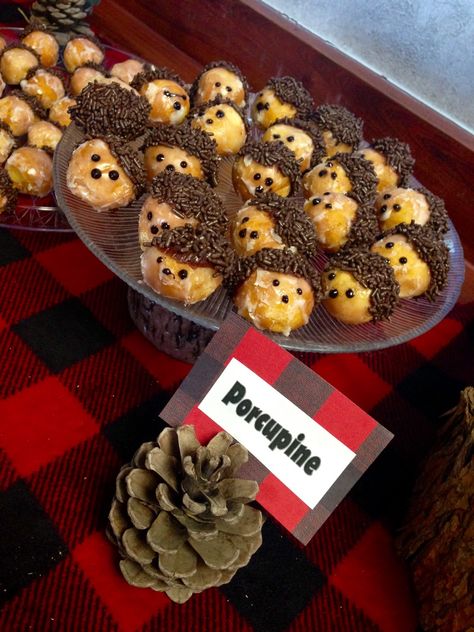 Cute donut hole porcupines Porcupine Dessert, Heartwood Hotel, Woodland Theme Cake, Forest Decorations, Bday Food, Woodland Baby Shower Food, Woodland Fairy Birthday, Classroom Snacks, Fairy Baby Showers