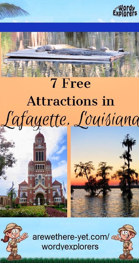 Things To Do In Lafayette Louisiana, Louisiana Vacation, Lsu Gameday, Traveling By Car, Swamp People, Louisiana Swamp, Louisiana Crawfish, Swamp Tours, Louisiana Travel