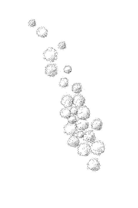 drawing of patch of forest in elevation using cad blocks Tree Plan Photoshop, Tree Plan Png, Architectural Trees, Movement In Architecture, Architecture Symbols, Plan And Elevation, Photoshop Landscape, Landscape Architecture Plan, Tree Drawings Pencil