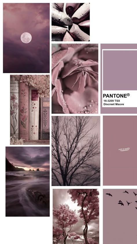 Mauve Color Aesthetic, Whimsy Goth Room, Mauve Color Palette, Romantic Soft Summer, 2025 Color Trends, Visual Design Ideas, House Of Shadows, Texture Collage, 2024 Colors