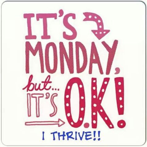 Monday's are no match for #thriving https://nixfix713.le-vel.com/IndustryShift/ End Of Day Quotes, Today Is Monday, Love Mondays, Thrive Le Vel, Thrive Experience, Hello Monday, It's Monday, Monday Quotes, Monday Blues