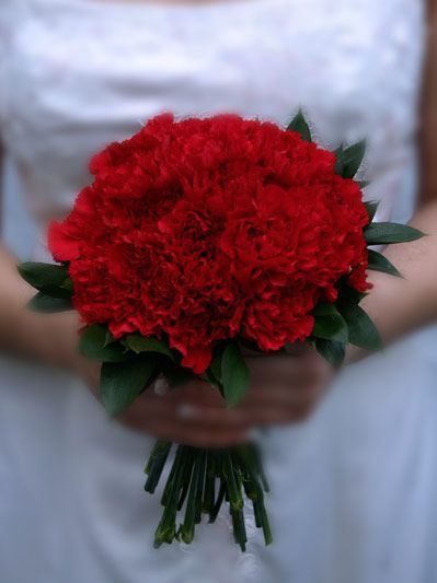 Red Carnations symbolize Admiration, "my heart aches for you" YES. Carnation Wedding Bouquet, Thanksgiving Nails Fall, Nails Fall Colors, Carnation Wedding, Budget Flowers, Carnation Bouquet, Thanksgiving Nail Art, Thanksgiving Nail, Cheap Wedding Flowers