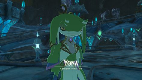 Yona X Sidon, Sidon X Yona, Prince Sidon, Zelda Totk, Legends Of Zelda, Never Forgotten, The Goddess, Legend Of Zelda, Not Mine