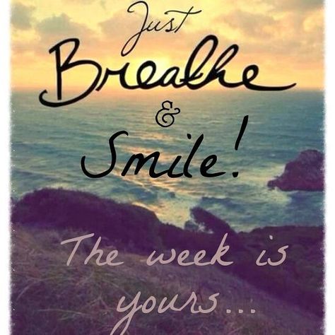 Happy Monday Peeps!!  Let's do this.... New Week Quotes, Montag Motivation, Happy Monday Quotes, Week Quotes, Blessed Week, Monday Blessings, Weekday Quotes, Monday Humor, Dont Forget To Smile