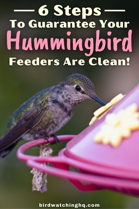 Getting Rid Of Bees, Attracting Hummingbirds, Hummingbird Food, Bird Feeder Plans, Hummingbird Nectar, Glass Hummingbird Feeders, Bird Feeding, Bees And Wasps, Hummingbird Feeder