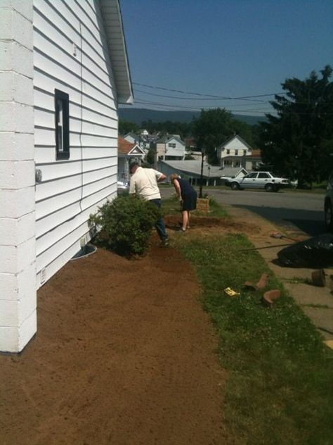 Yard Grading 101: How to grade a yard for proper drainage | Pretty Purple Door Yard Grading, Landscape Drainage, Yard Drainage, Persian Garden, Sloped Backyard, Backyard Designs, Purple Door, Japanese Garden Design, Diy Yard