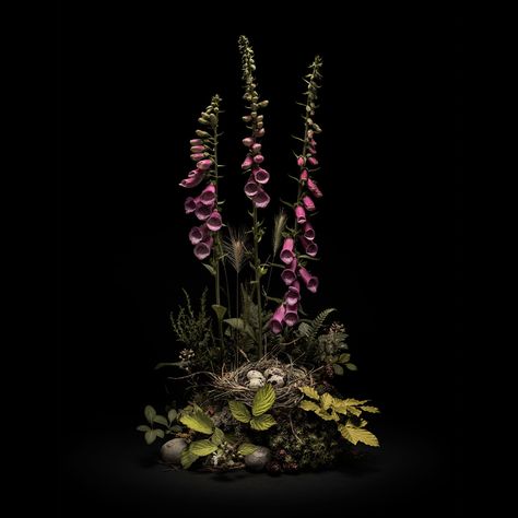 Botanical photography — Jasper Goodall Moody Wedding Flowers, Real Reference, Modern Flower Arrangements, Dark Flowers, Birds Nest, Mushroom Art, London Photos, Bramble, Floral Arrangement