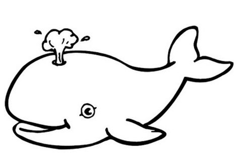 Free Printable Whale Coloring Pages For Kids Whale Coloring, Room Flowers, Whale Pictures, Whale Coloring Pages, Ocean Coloring Pages, Fish Coloring, Kids Colouring, Easy Animal Drawings, Cartoon Drawings Of Animals