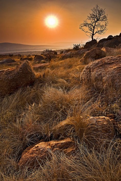 Portfolio of African Landscape Photography Prints for Sale Golden Mountain, African Sunset, Country Landscape, Fine Art Landscape Photography, Africa Do Sul, Winter Sunset, Mountain Sunset, Out Of Africa, Landscape Decor