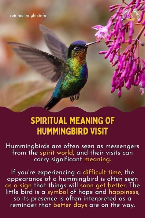 Meaning Of Hummingbird, Hummingbird Spiritual Meaning, Hummingbird Quotes, Hummingbird Meaning, Hummingbird Symbolism, Spirit Animal Meaning, Animal Meanings, Dream Meaning, Hummingbird Pictures