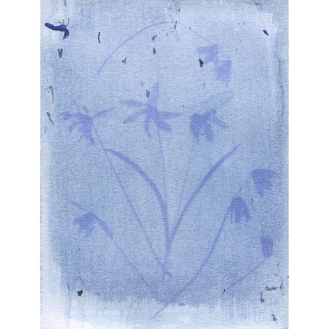 “Squill on Squill” by Mary Kocol Country: USA Parts used: Flower and some stems Cynotype Artists, Anna Atkins Cyanotype, Meant To Be