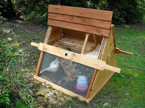 chicken coop Easy Diy Chicken Coop, Chicken Coop Kit, Cheap Chicken Coops, Small Chicken Coops, Easy Chicken Coop, Chicken Barn, Portable Chicken Coop, Diy Chicken Coop Plans, Urban Chickens