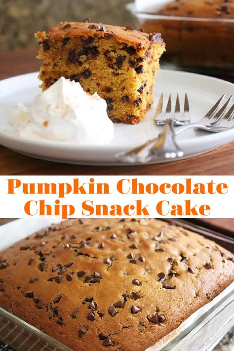 Pumpkin Chocolate Chip Snack Cake - AimeeStock.com Chocolate Chip Pumpkin Cake, Chocolate Chip Snack Cake, Cherry Yum Yum Recipe, Pumpkin Snack Cake, Pumpkin Chocolate Chip Cake, Pumpkin Cake Mix, Snack Cake Recipe, Chocolate Chip Cake Recipe, Chocolate Pumpkin Cake