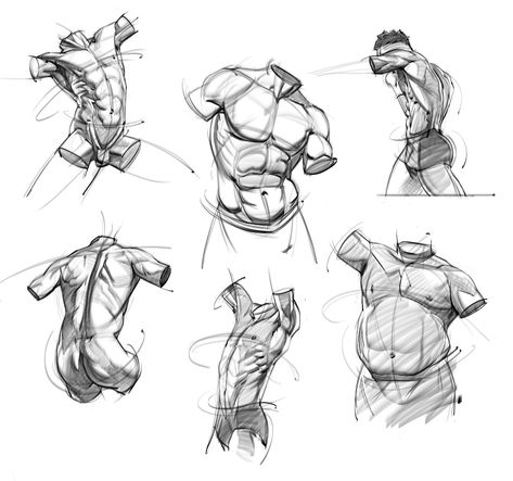 ArtStation - Sketches of the Male Torso Josh Black, 남성 근육, Male Torso, Human Anatomy Drawing, Art Photography Portrait, Body Sketches, Human Anatomy Art, Anatomy Sketches, Body Reference Drawing