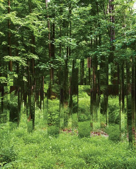 #GreatGardens Jeppe Hein’s Site Rotating Pavillion, 2008 🌳⁠ ⁠ Discover the photographer on Instagram : @jasonschmidtstudio for @wmag⁠ ⁠ Tap the link to discover sub-tropical landscapes to coastal retreats in Great Gardens on NOWNESS 🌱 Farm Photo, W Magazine, Forest Art, Outdoor Sculpture, Land Art, Environmental Art, Zen Garden, Autumn Trees, Fun Ideas