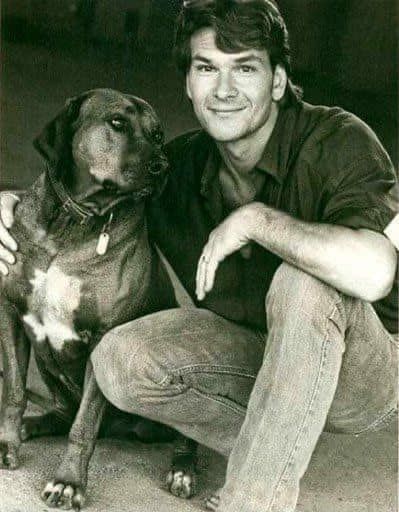 The world of Rhodesian Ridgebacks | One of my favourite actors - Patrick Swayze ￼also loved the RR and had them from 1985 until he sadly passed away in 2009 ♥️. Patrick Swayze Ghost, Patrick Swazey, Patrick Swayze Dirty Dancing, Patrick Wayne, Celebrity Dogs, Point Break, Patrick Swayze, Rhodesian Ridgeback, Dirty Dancing