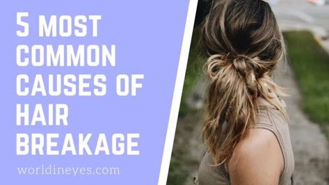 What Causes Hair Breakage, Hair Breakage Remedies, Stop Hair Breakage, Homemade Facial Mask, Breaking Hair, Vitamins C, Hair Damage, Oily Scalp, Hair Remedies