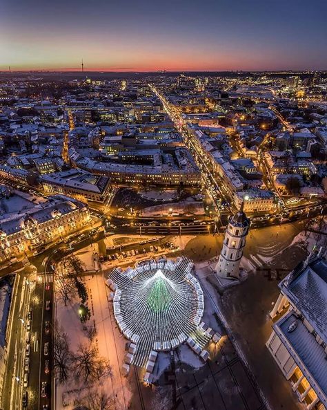 Christmas tree in Vilnius, Lithuania. 2016 December. Winter In Lithuania, Vilnius Winter, Lithuania Christmas, Vilnius Christmas, Vilnius Lithuania, Vacation Planner, Islamic Images, Car Ride, My Heritage