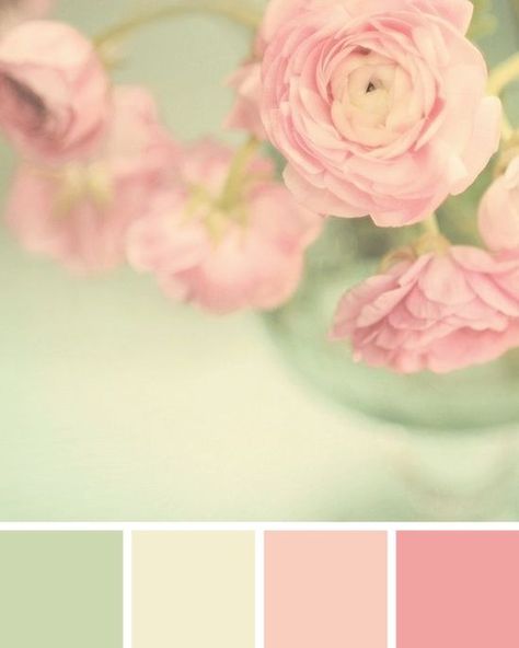 vintage rose green cream palettes - Google Search Pink Green Bedrooms, Green Girls Rooms, Pastel Bathroom, Vintage Girls Rooms, Color Bathroom Design, Vintage Wedding Colors, Girls Room Colors, Shabby Chic Colors, Pink Paint Colors