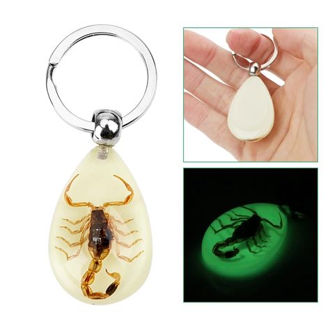 Scorpion Keychain, Amber Pendant, Auto Accessories, Handbag Wallet, Key Holder, Scorpion, Key Rings, Car Accessories, Buy Now