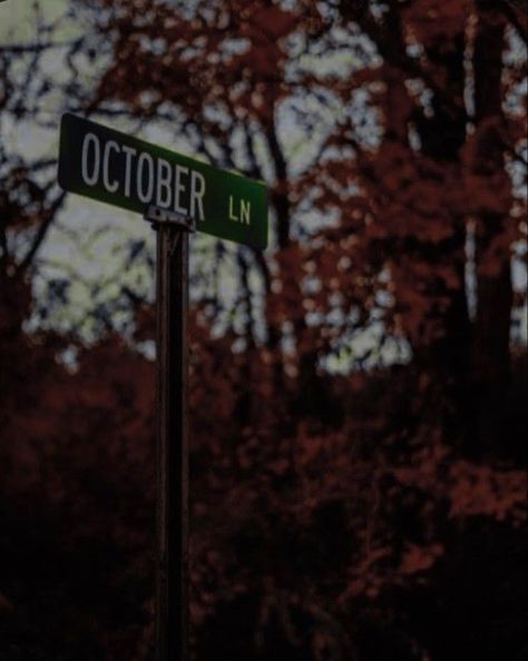 Dark Fall Aesthetic, Dark Fall, Red Leaves, Fall Aesthetic, Trees, Halloween, Green, Red