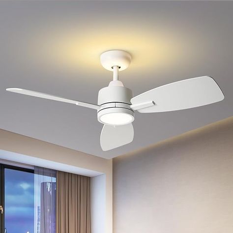 Amazon.com: TALOYA Ceiling Fan with Lights Remote Control, 42 inch, Reversible Quiet DC Motor, 3 Dual-Faced Blades Modern Ceiling Fans for Bedroom Patio Indoor Covered Outdoor White : Tools & Home Improvement Cieling Fans, Fans For Bedroom, Patio Indoor, Ceiling Fan Bedroom, Ceiling Fan With Lights, Bedroom Patio, White Ceiling Fan, Modern Ceiling Fan, Ceiling Fan With Remote