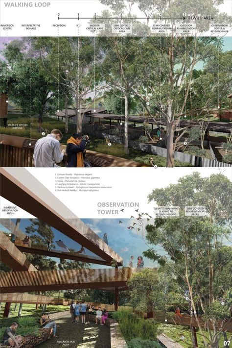 Habitat for Koalas Regeneration Architecture Concept, Architecture Concept Board, Conservation Architecture, Concept Board Architecture, Wildlife Rehabilitation, Architecture Competition, Urban Landscape Design, Architecture Presentation Board, Architecture Panel