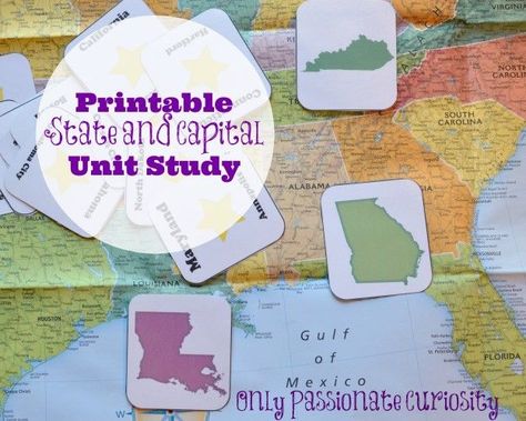 States and Capitals Printable Flash Cards and Worksheets - Special Needs Homeschool, Homeschool Field Trip Ideas, Free Educational Printables, Homeschool Field Trips, Field Trip Ideas, States And Capitals, Teaching Geography, Homeschool Geography, Mom Encouragement