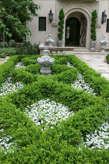 Planter With Boxwood, Small Boxwood Hedge, English Boxwood Landscaping, Buxus Hedge Front Garden, Large Boxwood Landscaping, Small Formal Gardens Boxwood Hedge, Boxwood Hedge Front Yard, Formal Garden Design Layout, Hedges In Front Of House