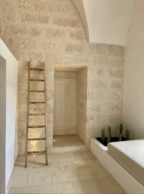 Cacti focal point. #Cacti #focalpoint #interior #minimalism #interiordesign #monochrome #masseria #lamia #lighting #puglia #lifestyle #architecture #style #starvaulted #stonework Splash Pools, Vintage Ladder, Terracotta Floor, Style Flats, Wall Trim, Countryside House, Puglia Italy, Island House, Luxury Homes Interior