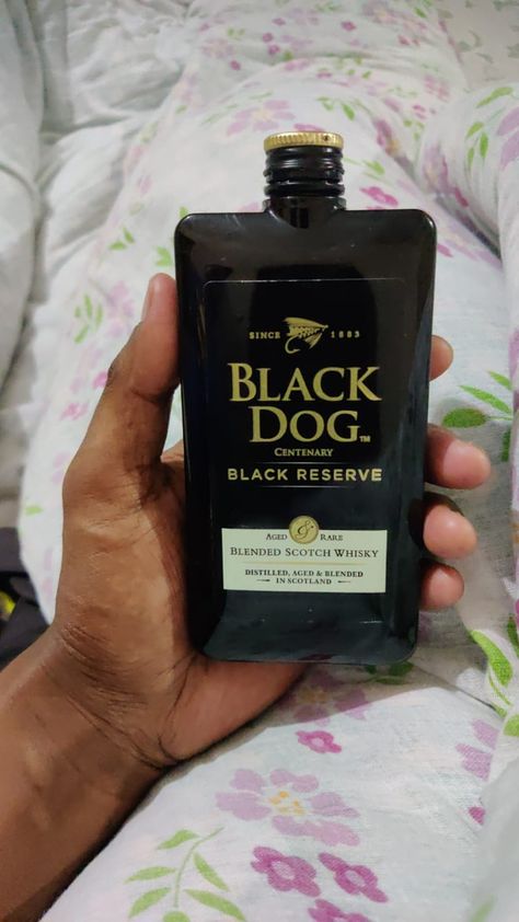 Black Dog Whiskey Scotch, Holi Snapchat, Holi Snapchat Stories, Happy Holi Picture, Bear Drink, Daaru Party Pic, Alcoholic Drinks Pictures, Friend Dates, Best Friend Dates