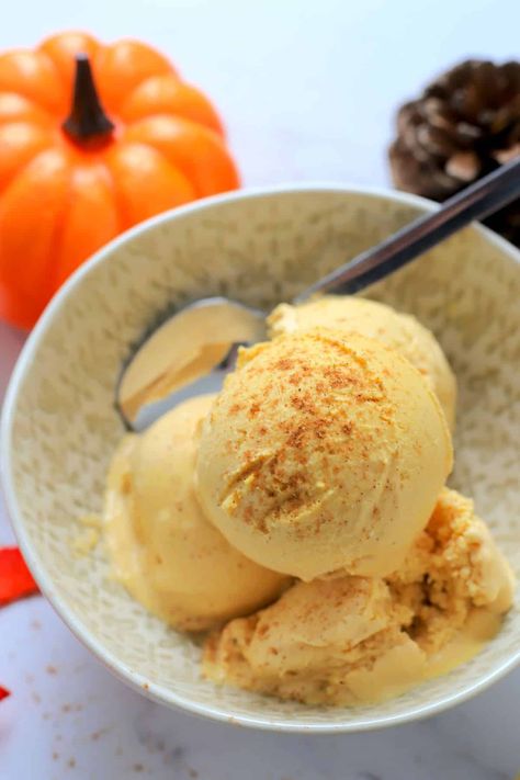 Ice Cream Ninja Creami, Carrot Cake Ice Cream, Lemon Sorbet Recipe, Pumpkin Spice Ice Cream, Greek Quinoa, Low Carb Protein Powder, Protein Ice Cream Recipe, Sugar Free Ice Cream, Greek Quinoa Salad