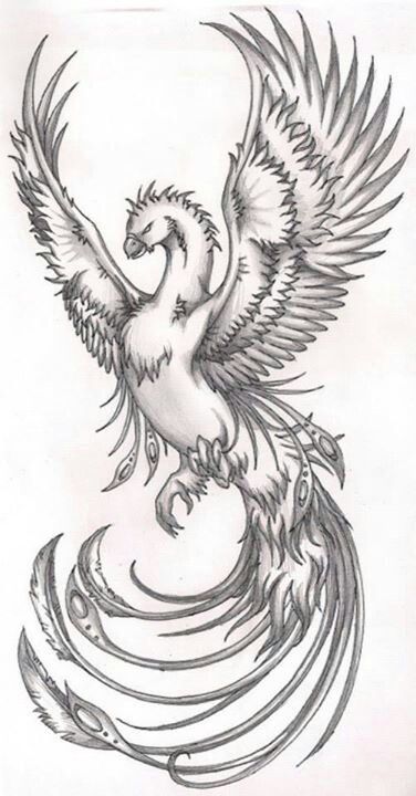 Phoenix Tattoo Phoenix Tattoo Sleeve, Tato Phoenix, Phoenix Tattoo For Men, Phoenix Drawing, Phoenix Tattoo Feminine, Bird Tattoo Men, Phoenix Bird Tattoos, Phoenix Artwork, Phönix Tattoo