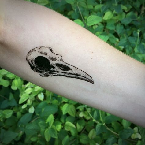 One temporary tattoo design of a dark black line crow skull! Excellent choice for Halloween, and make's awesome and quick gift to your most badass friends. SIZE - about 3.5 long △ This temporary tattoo is an original design by Allison Wilcoxen. △ Have your own idea for a tattoo? Send a c Wolf Sketch Tattoo, Bird Skull Tattoo, Lion Hand Tattoo, Gotik Tattoo, Tattoo Son, Skull Hand Tattoo, Tatuagem Masculina Pequena, Bone Tattoos, Crow Skull