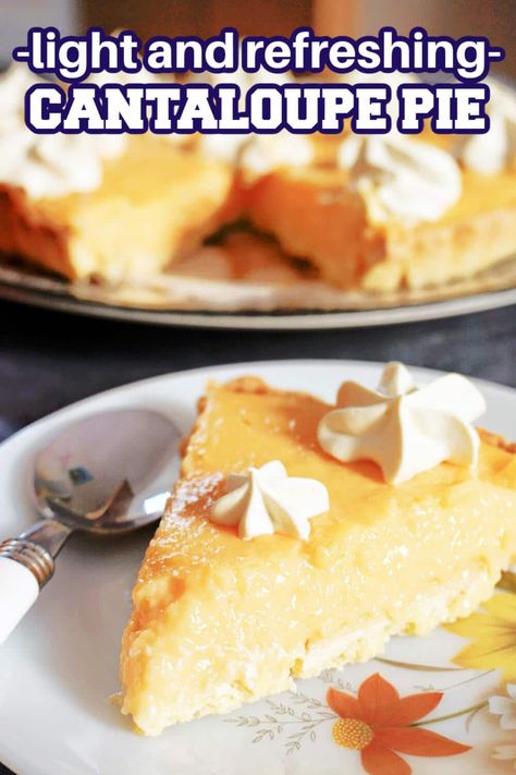 Recipes Using Cantaloupe, Cantaloupe Pie, Cantaloupe Recipes, Melon Recipes, Unique Pies, Lemon Dessert Recipes, Pretty Dessert, Refreshing Desserts, Shortcrust Pastry