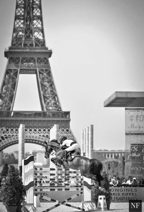 Black And White Horse Pictures, Hunter Jumping Aesthetic, Equestrian Olympics, Showjumping Aesthetic, Jumping Photos, Olympic Horses, Luxury Life Aesthetic, Aesthetic Horse, Equestrian Jumping