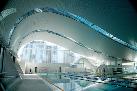 Ian Thorpe, Venice Architecture, Swimming Pool Architecture, Going Off The Grid, Indoor Swimming Pool, Fibreglass Roof, Roof Architecture, Australian Architecture, Indoor Swimming